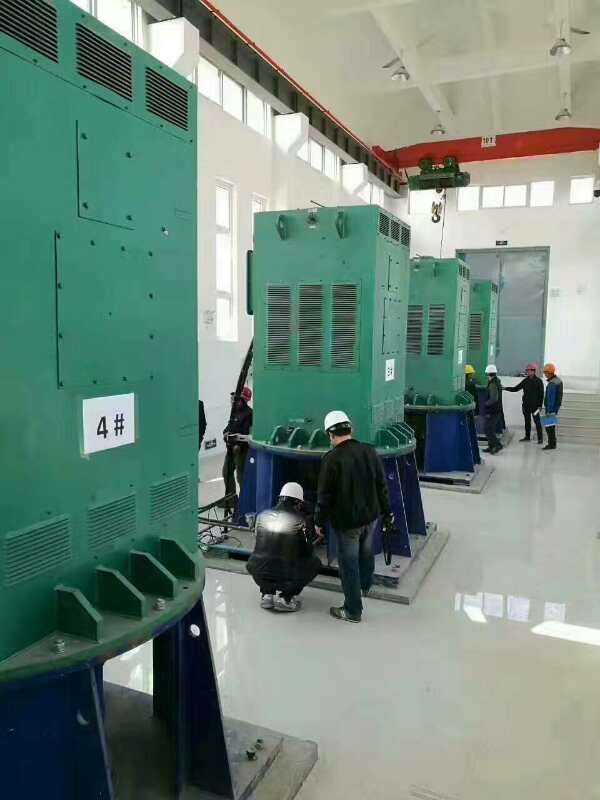 蒙山某污水处理厂使用我厂的立式高压电机安装现场生产厂家